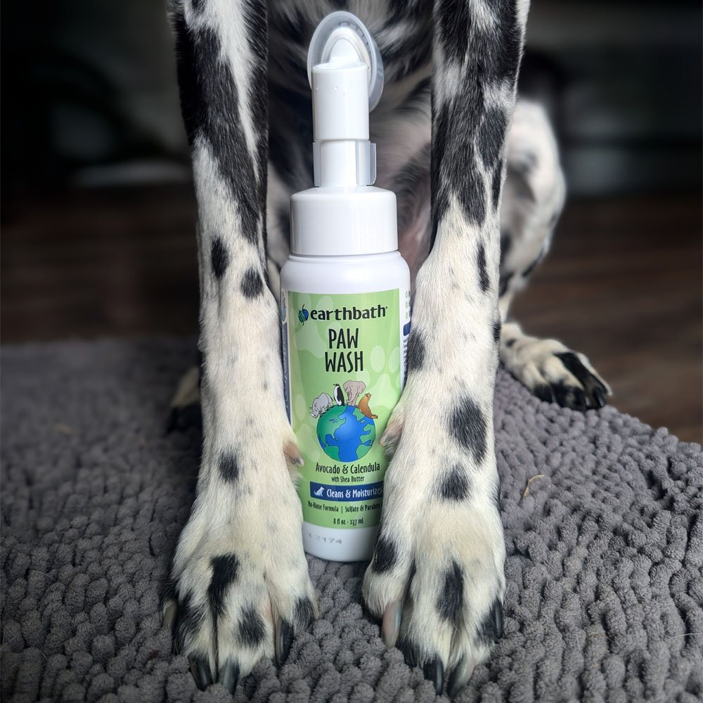 Earthbath Avocado & Calendula w/ Shea Butter Paw Wash for Dogs & Cats - Image 4