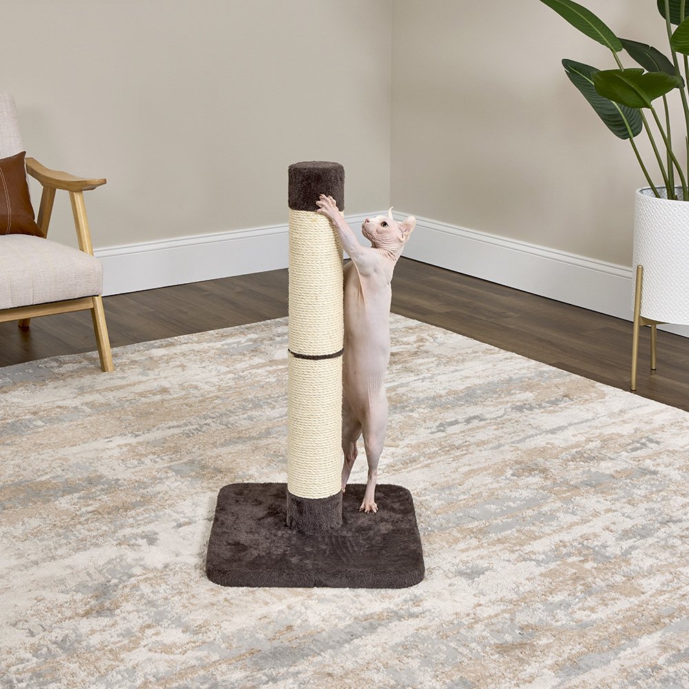 Feline Nuvo Brio Cat Scratching Post - Image 2