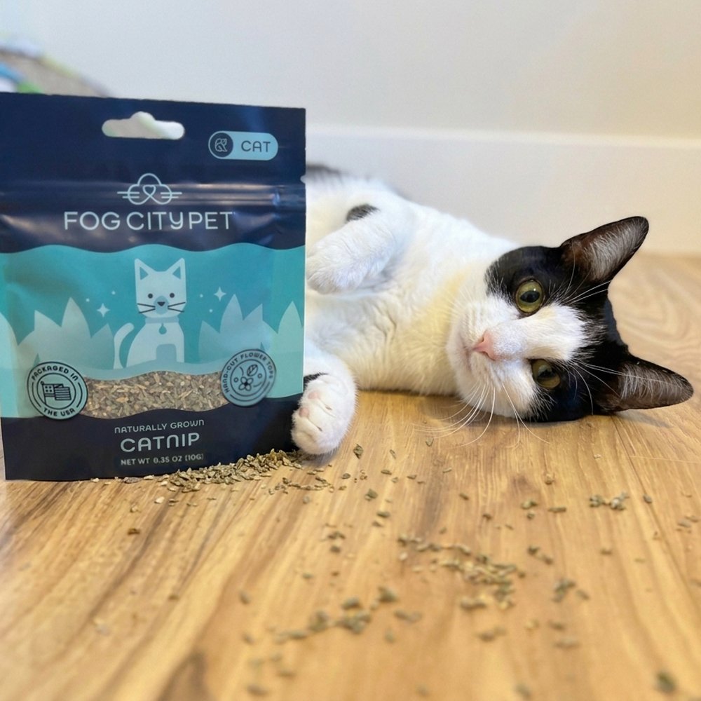 Fog City Pet Naturally Grown Catnip - Image 4