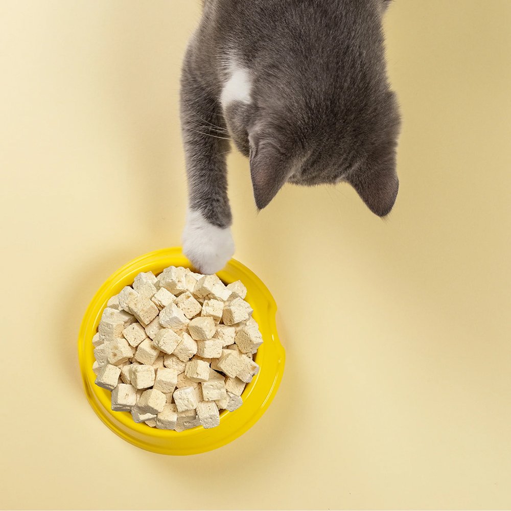 Weruva Freeze Dried Paw Lickin' Chicken Fully Cooked Cat Food - Image 4