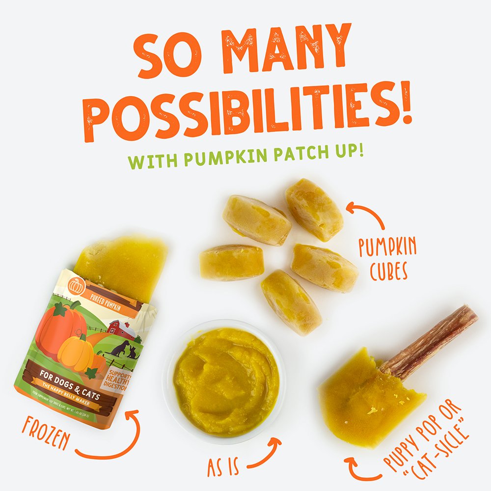 Weruva Pumpkin Patch Up! Pumpkin Supplement for Dogs & Cats - Image 3