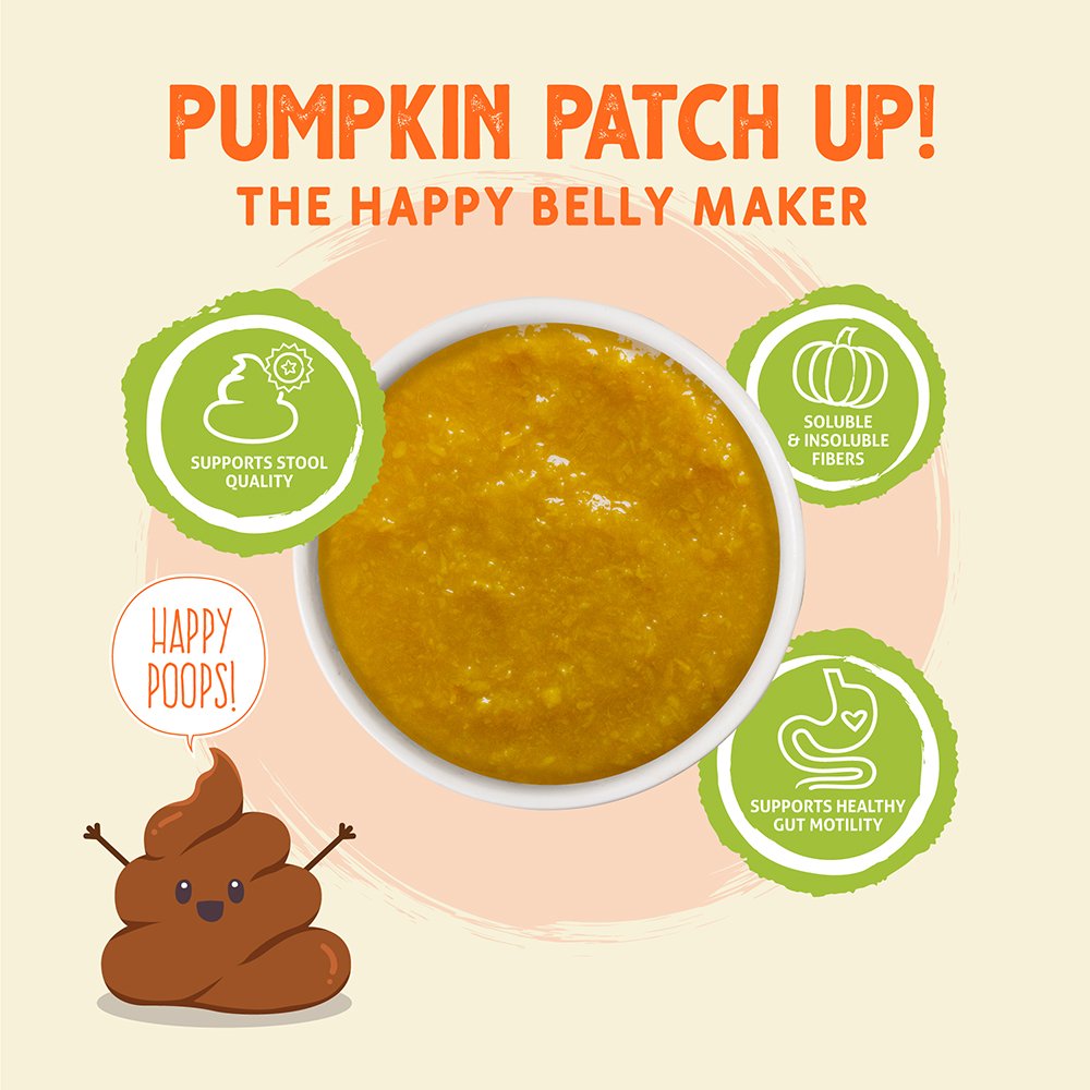 Weruva Pumpkin Patch Up! Pumpkin with Ginger & Turmeric Supplement for Dogs & Cats - Image 3