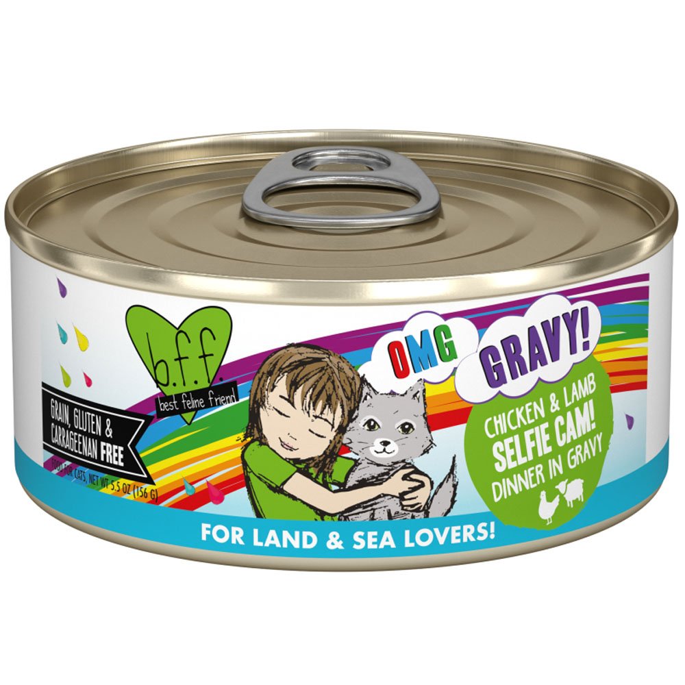 Weruva BFF OMG Gravy! Chicken & Lamb Selfie Cam! Dinner in Gravy Canned Cat Food - Image 3