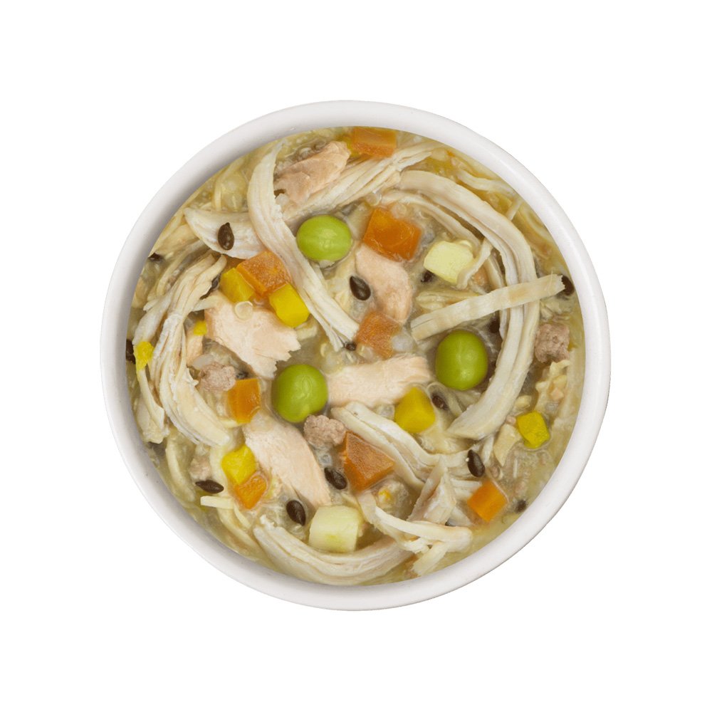 Weruva Meals 'n More Jammin' Salmon Recipe Plus Wet Dog Food - Image 2