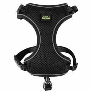 Friends Forever Black Cat Harness & Bungee Leash Set