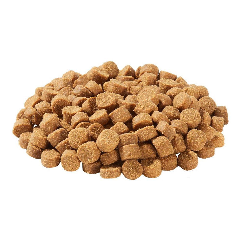 SKOKI Coastal Dry Dog Food - Image 2