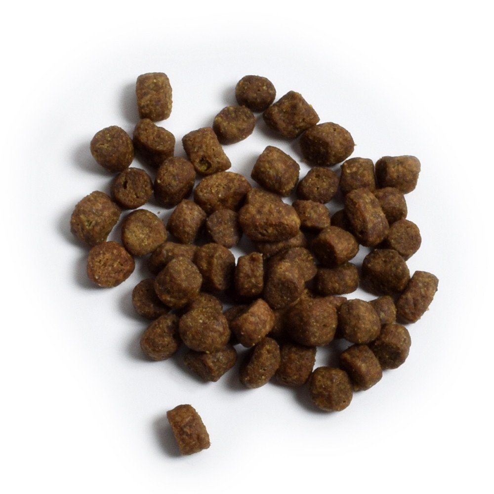 Open Farm Pasture-Raised Lamb & Ancient Grains Recipe w/ Quinoa & Pumpkin Dry Dog Food - Image 2