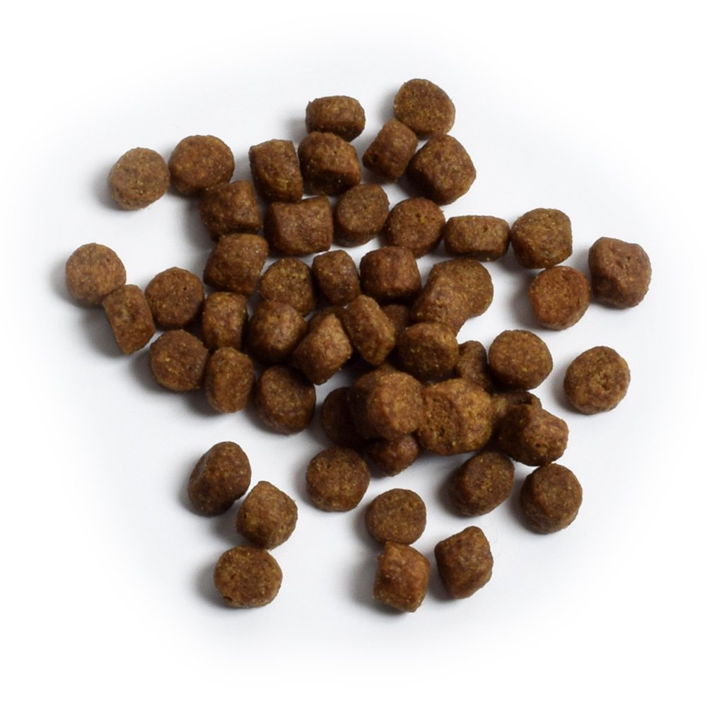 Open Farm Grain Free Wild-Caught Salmon Recipe Dry Dog Food - Image 2