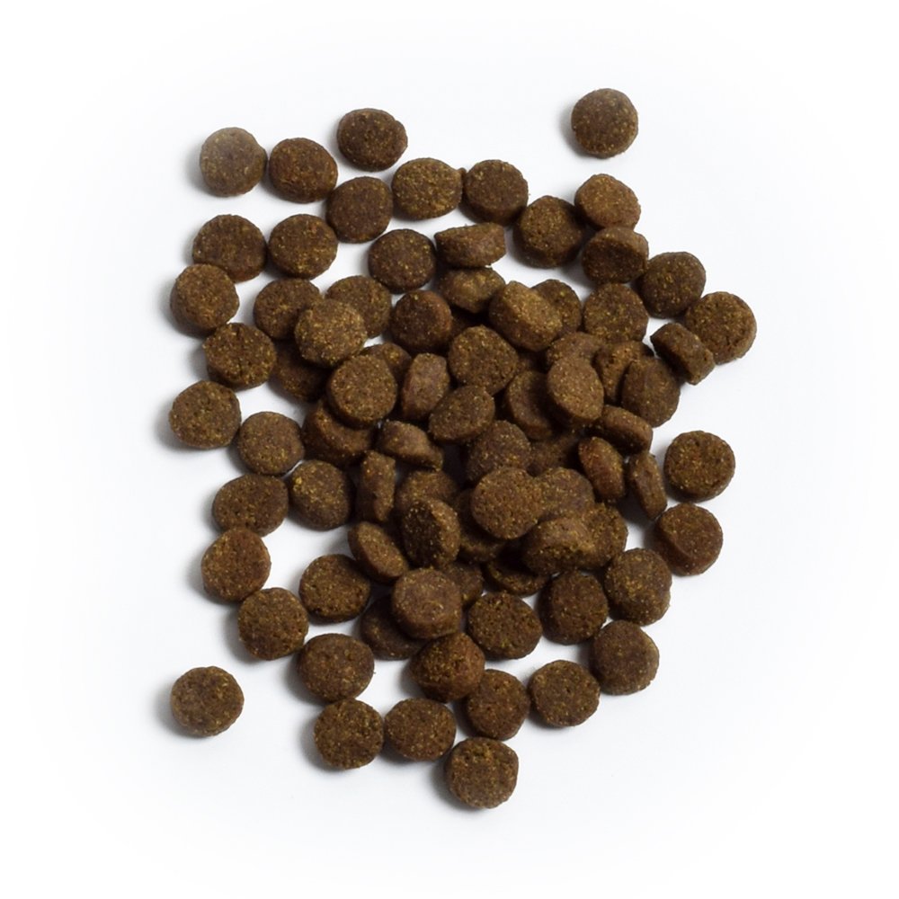 Open Farm Grain Free Wild-Caught Salmon Recipe Dry Cat Food - Image 2