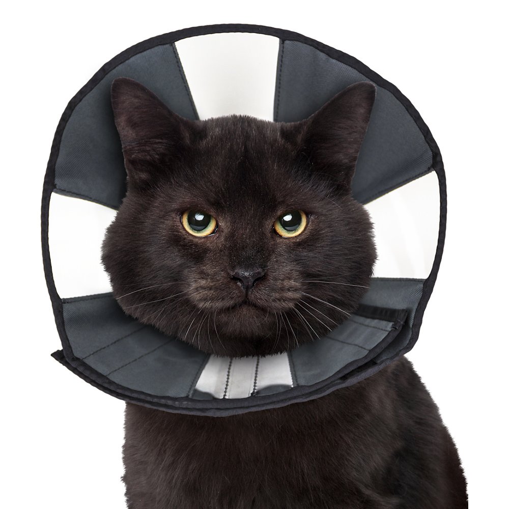 ZenCone Soft Recovery Dog & Cat Collar - Image 2