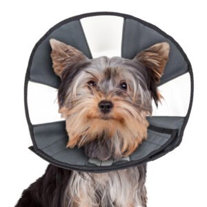 ZenCone Soft Recovery Dog & Cat Collar
