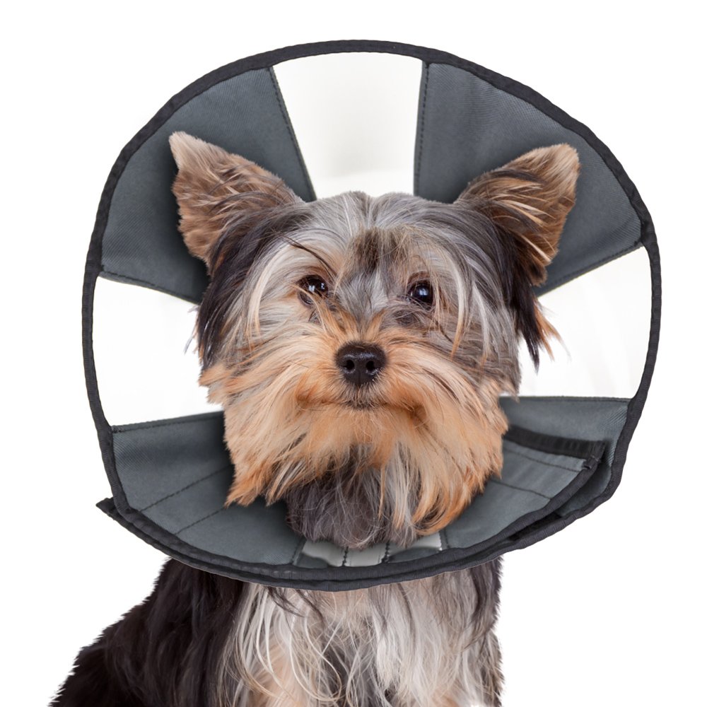 ZenCone Soft Recovery Dog & Cat Collar