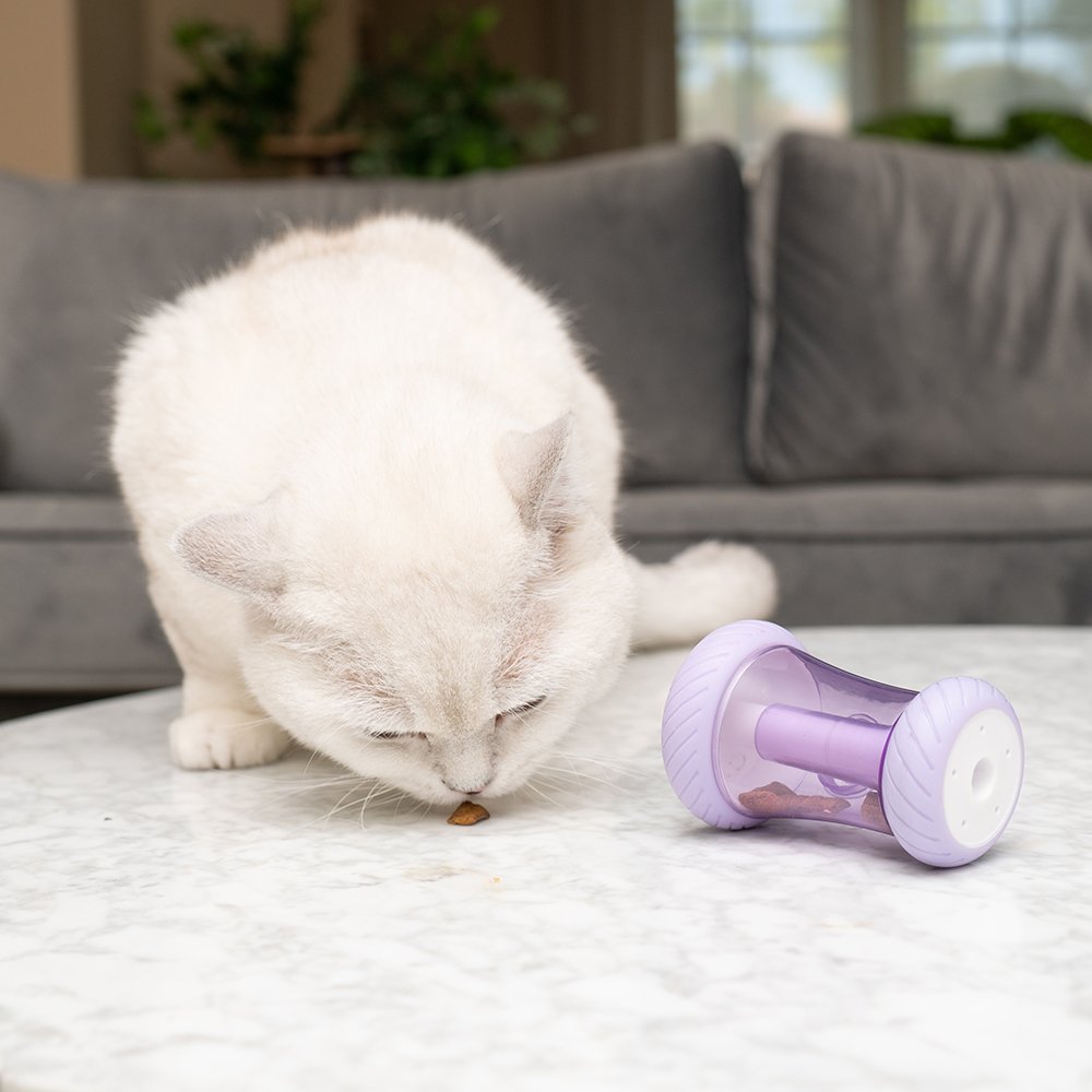 Nala Treat Wheelie Arch Catnip & Treat Dispensing Cat Toy - Image 4