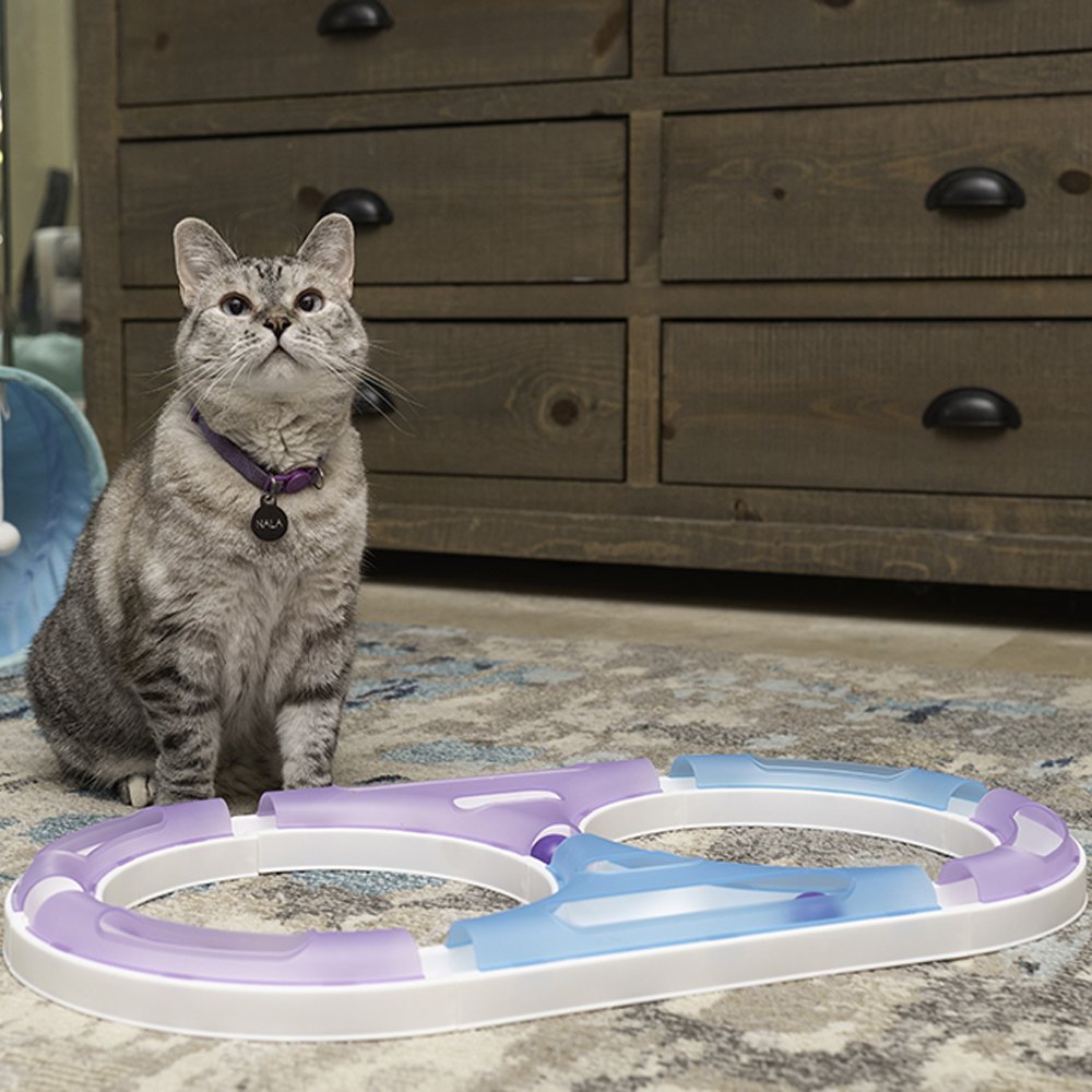 Nala Kat Trax Chase & Play Interactive Cat Toy - Image 4
