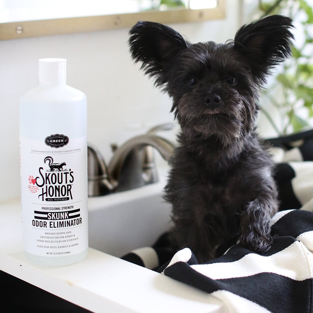 Skout's Honor Professional Strength Skunk Odor Eliminator for Pets, Family & Home - Image 4