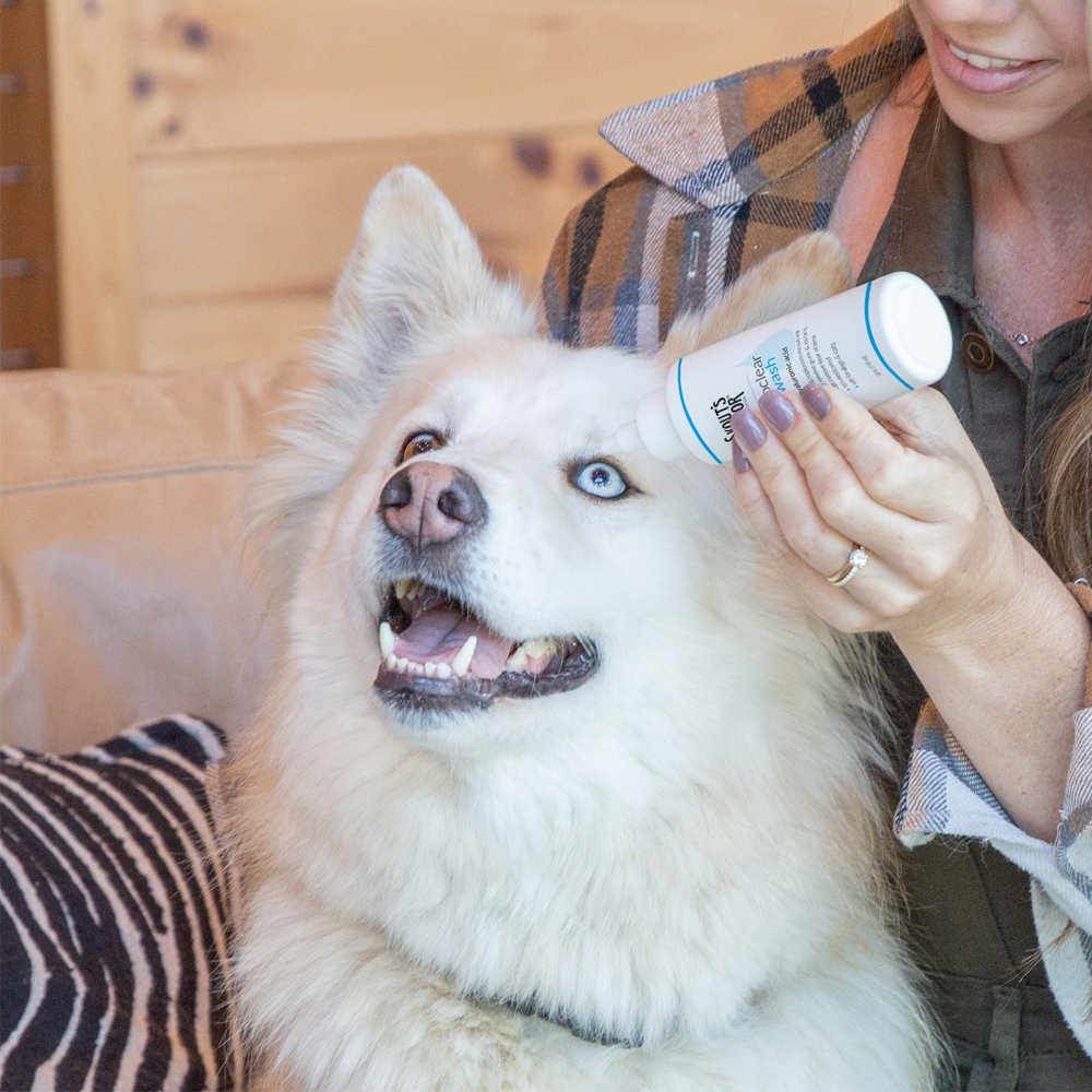 Skout's Honor Hydroclear Eye Wash w/ Hyaluronic Acid for Dogs & Cats - Image 4
