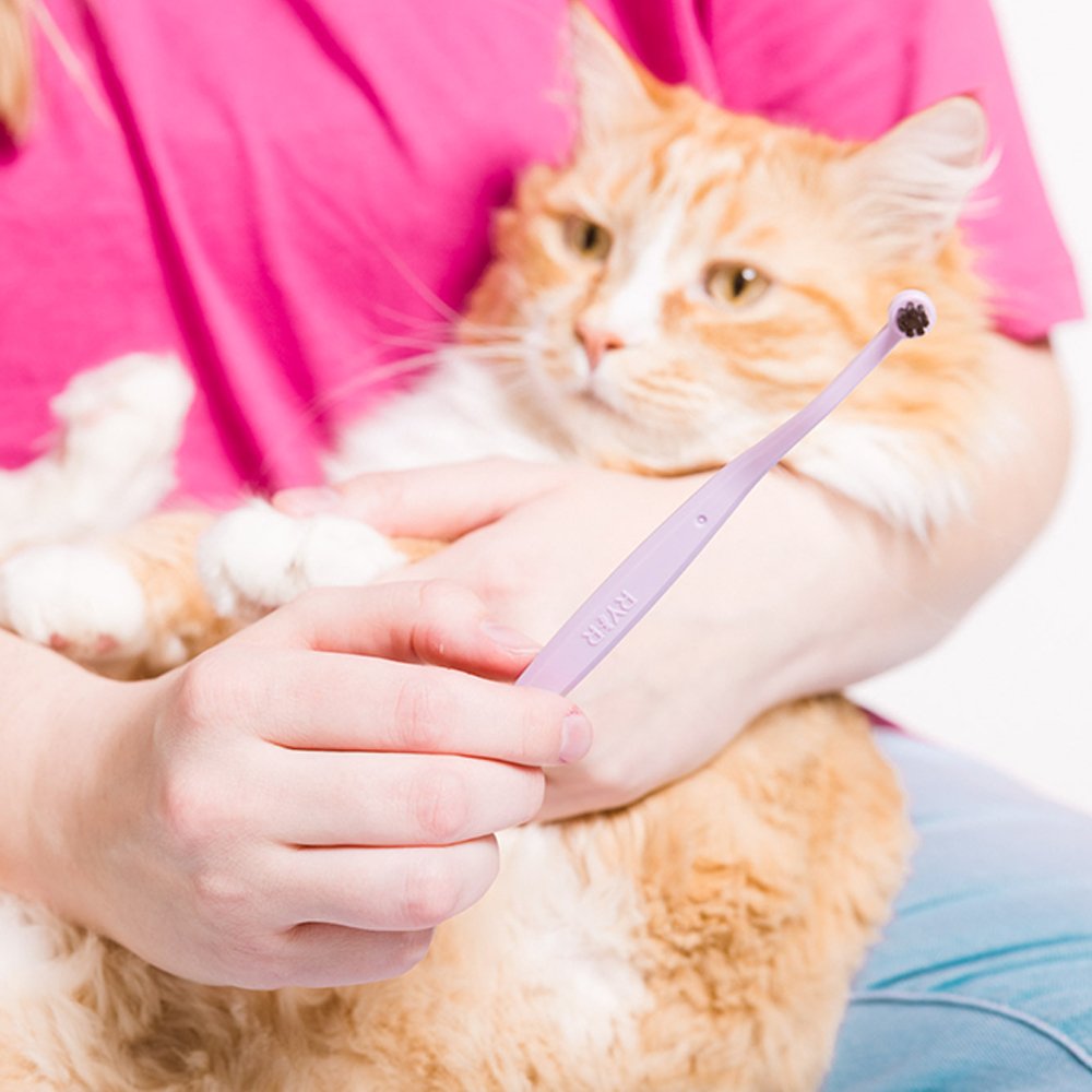 RyerCat Lavender Dual Sided Cat Toothbrush - Image 5