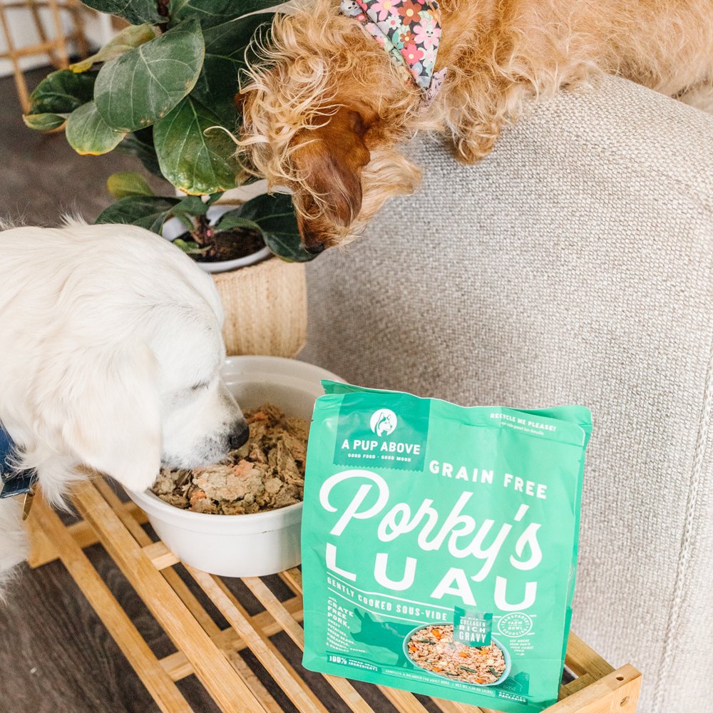 A Pup Above Gently Cooked Grain Free Porky's Luau w/ Bone Broth Frozen Dog Food - Image 5