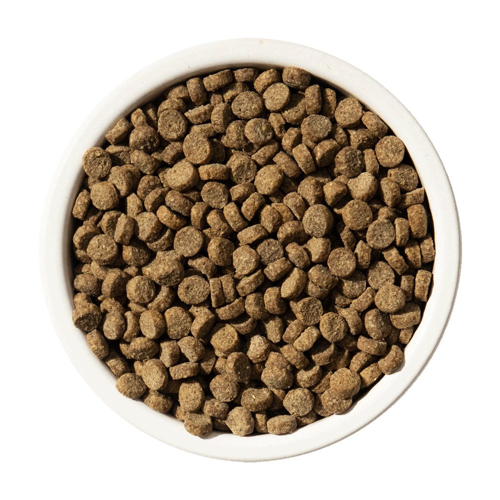 Bixbi Rawbble Freeze-Dried Raw Coated Salmon Recipe Grain Free Dry Cat Food - Image 2