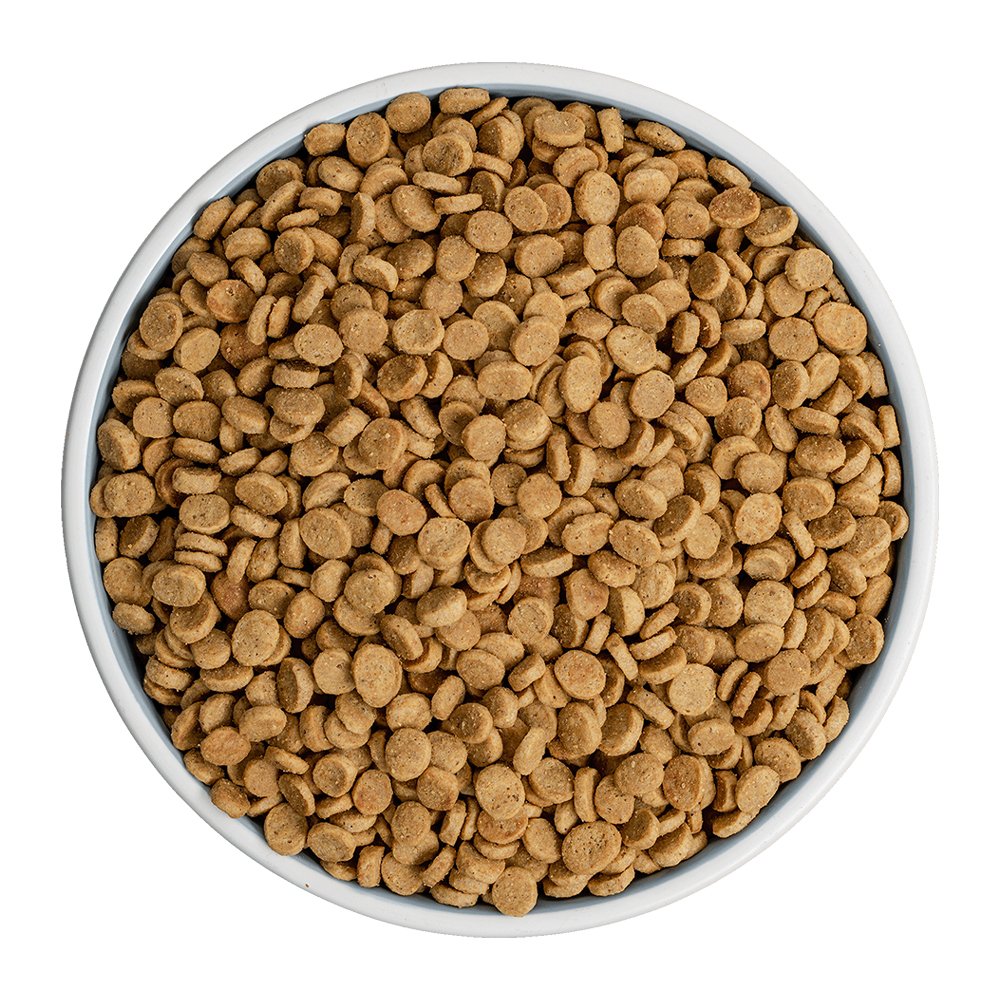 Bixbi Rawbble Freeze-Dried Raw Coated Duck Recipe Grain Free Dry Dog Food - Image 2
