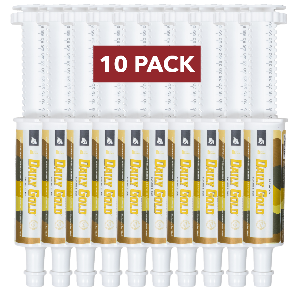 Daily Gold® Paste - Digestive Stress Relief for Horses - Image 5