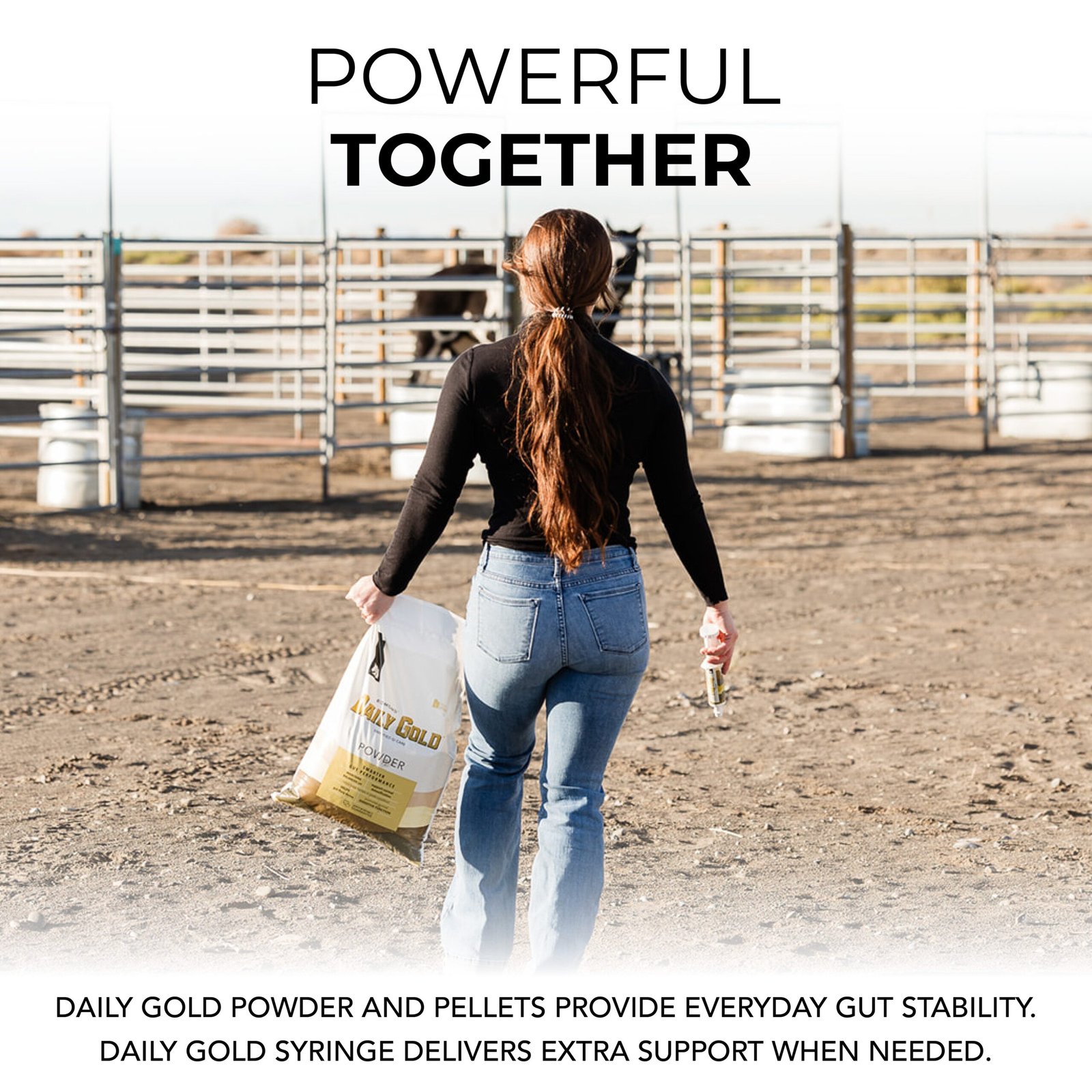 Daily Gold® Paste - Digestive Stress Relief for Horses - Image 6