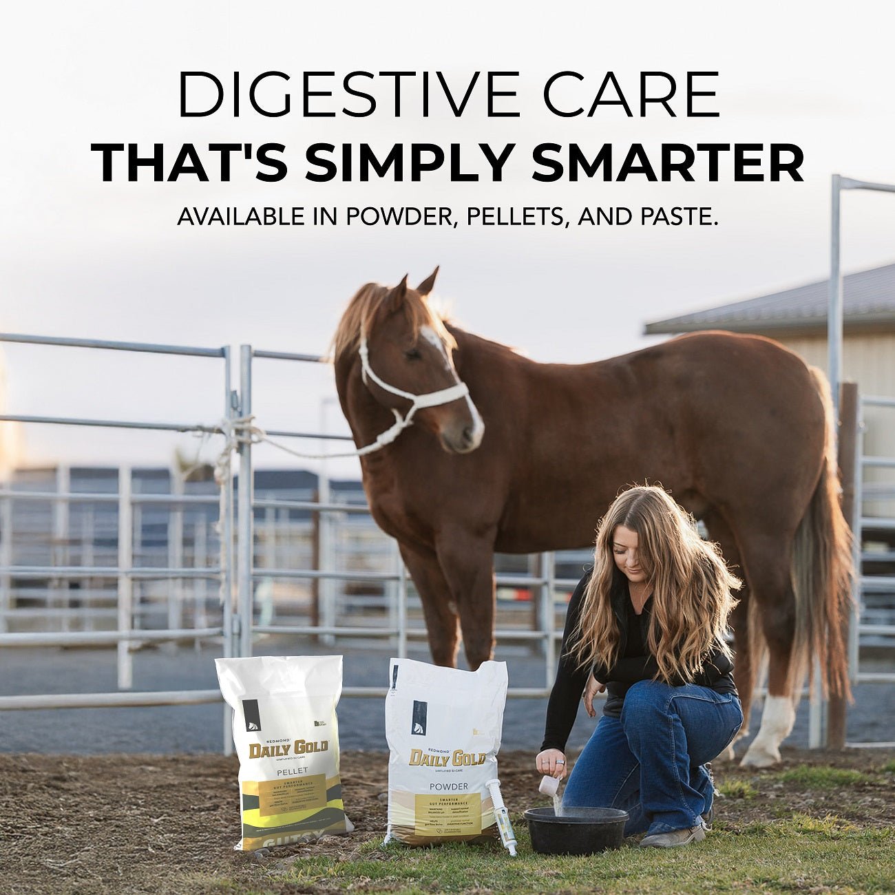 Daily Gold® Paste - Digestive Stress Relief for Horses - Image 7