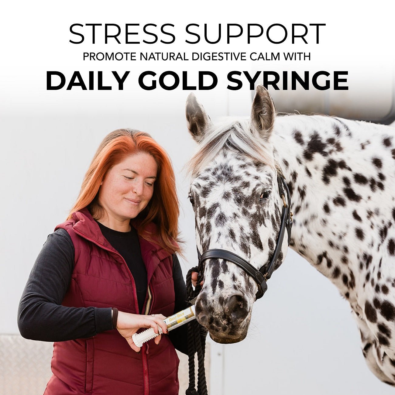 Daily Gold® Paste - Digestive Stress Relief for Horses - Image 8