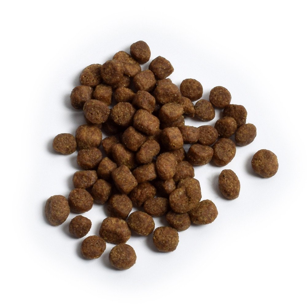 Open Farm Grain Free Puppy Chicken & Salmon Recipe Dry Dog Food - Image 2