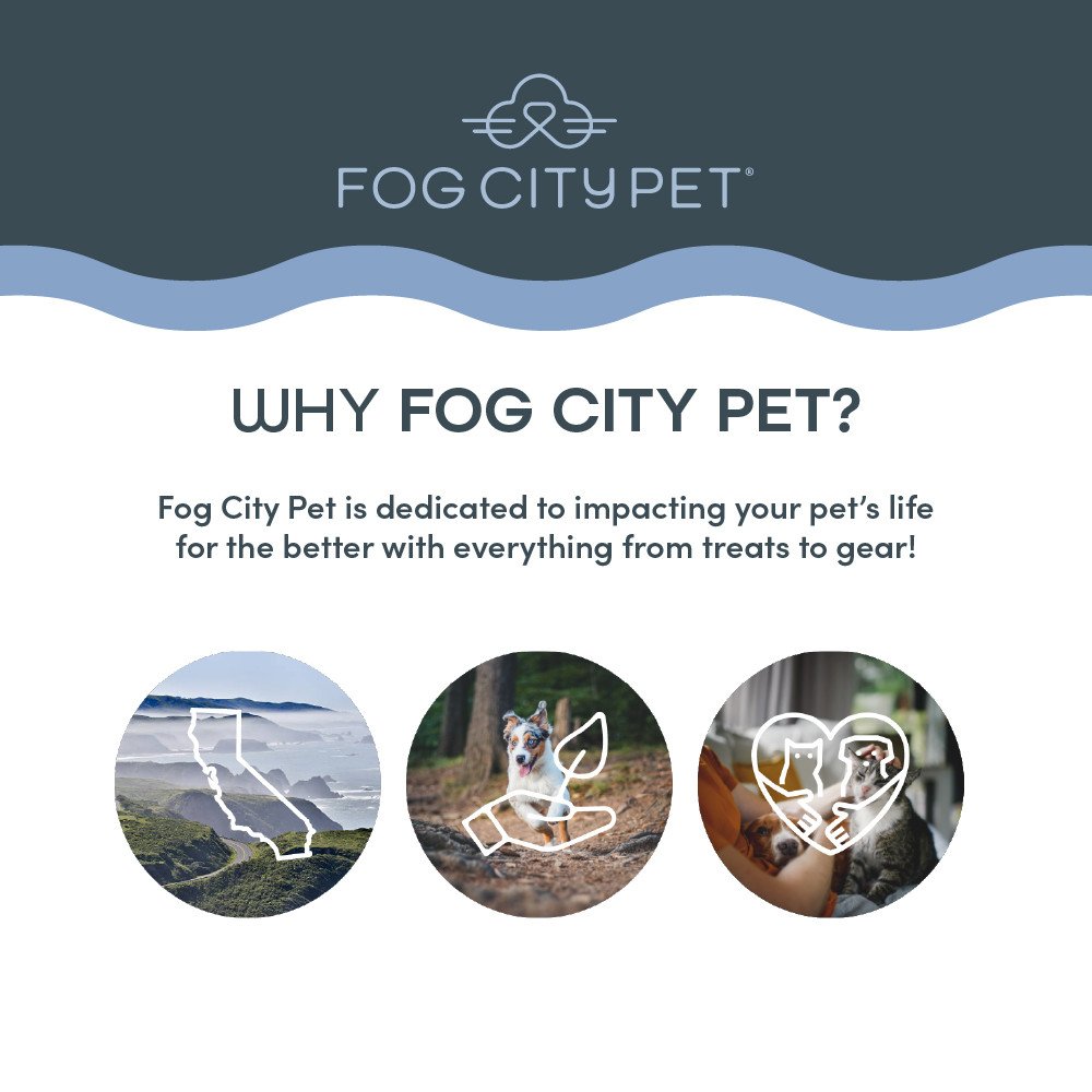 Fog City Pet Beige Silicone Food Mat - Image 4
