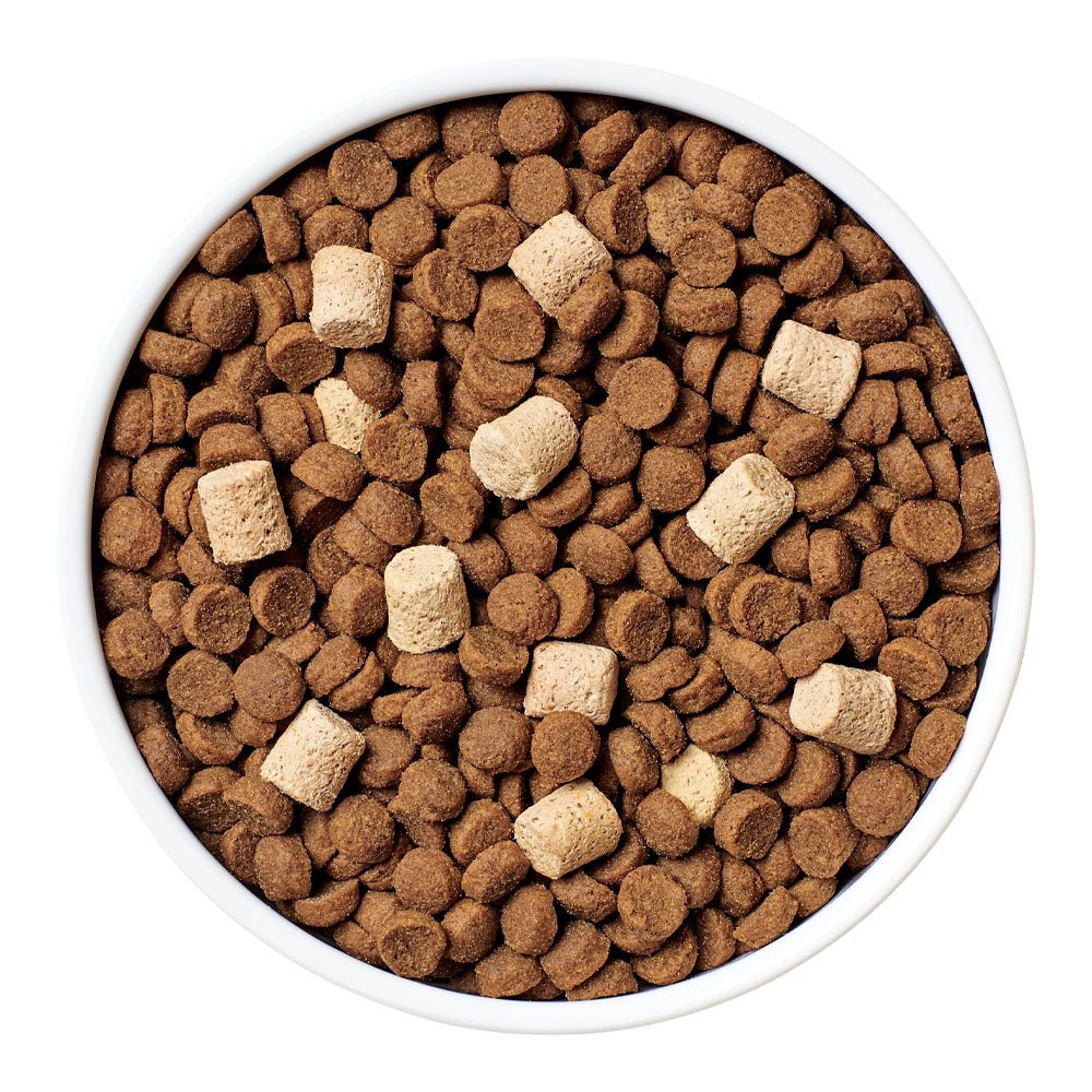 Instinct Grain-Free RawBoost+ High-Protein Recipe w/ Real Salmon Dry Dog Food - Image 2