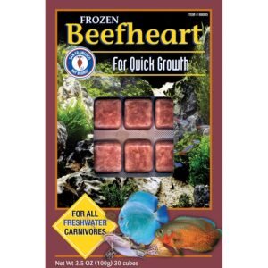 Frozen Beefheart Fish Food