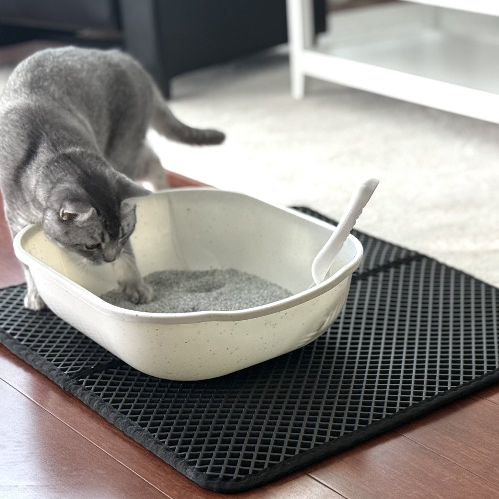 Spiffy Paw Litter Scoop - Image 3