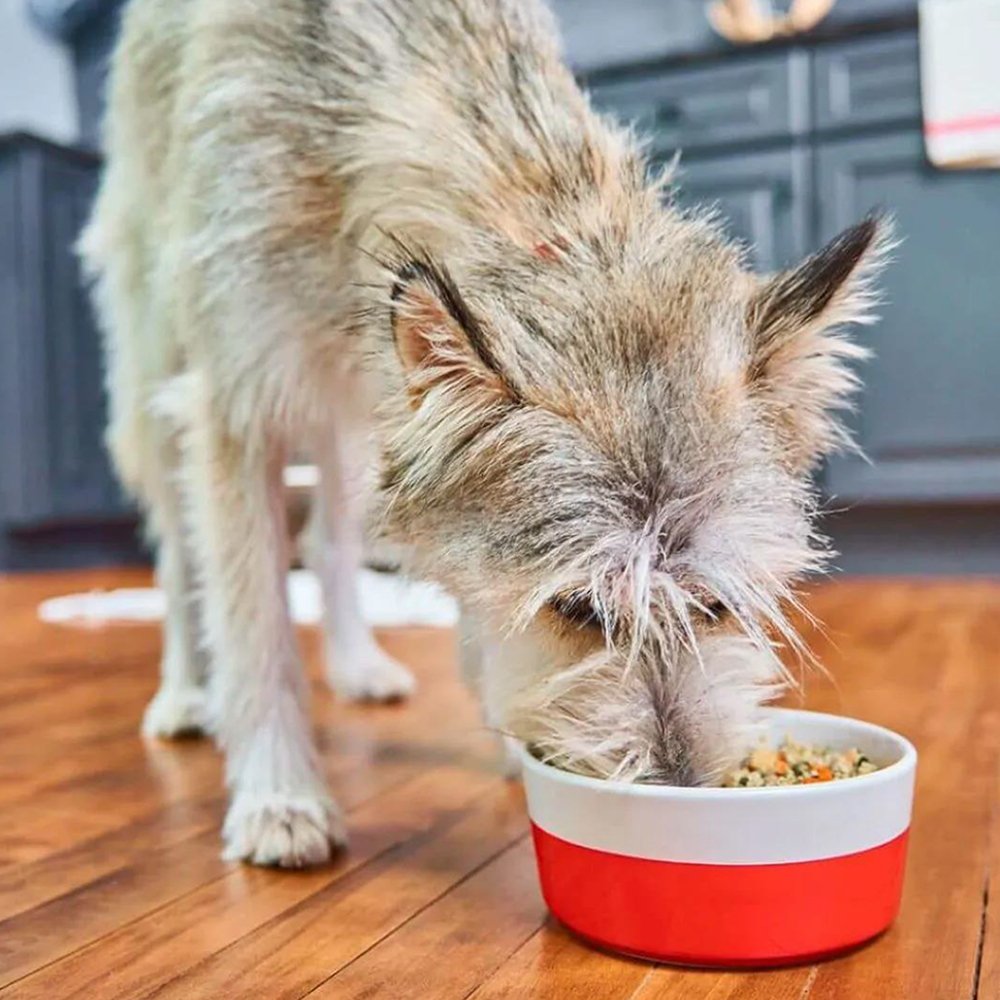 Stella & Chewy's Gently Cooked Meat-a-Palooza Recipe In Juicy Bone Broth Frozen Dog Food - Image 4