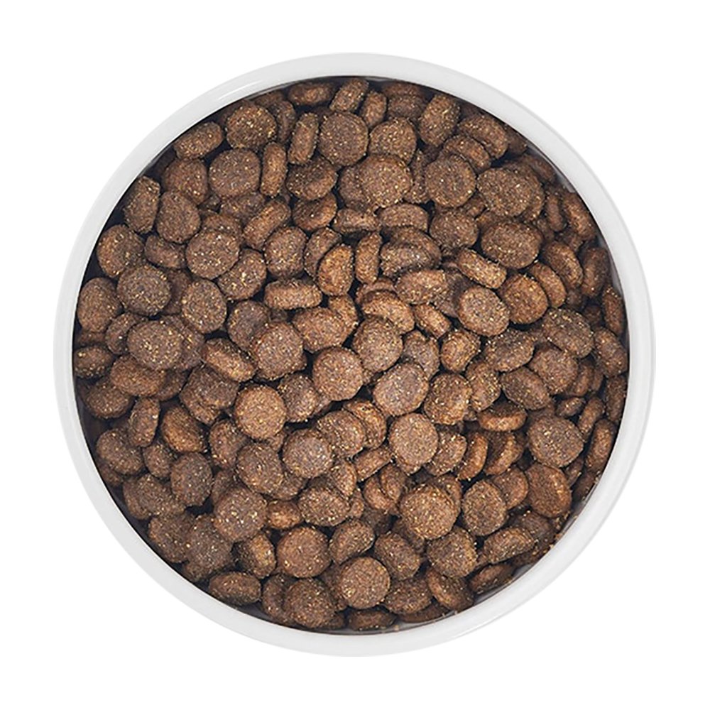 Zignature Select Cuts Lamb & Lamb Meal Formula w/ Oats, Millet & Quinoa Dry Dog Food - Image 2
